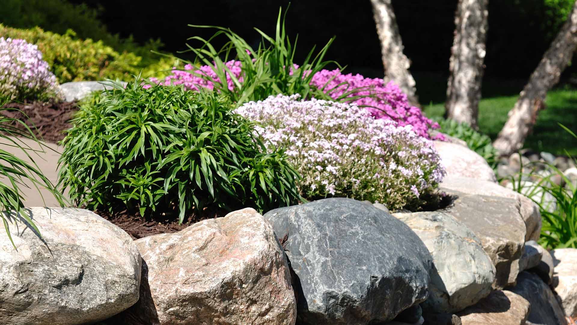 Plant City home with a backyard landscaping bed containing large rocks and shrubs.