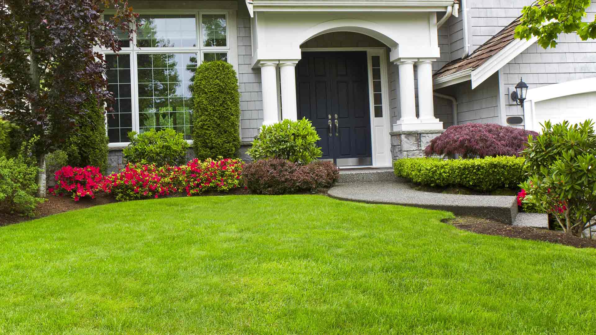 Lakeland home with newly mowed front lawn by ProCare Lawn Maintenance.