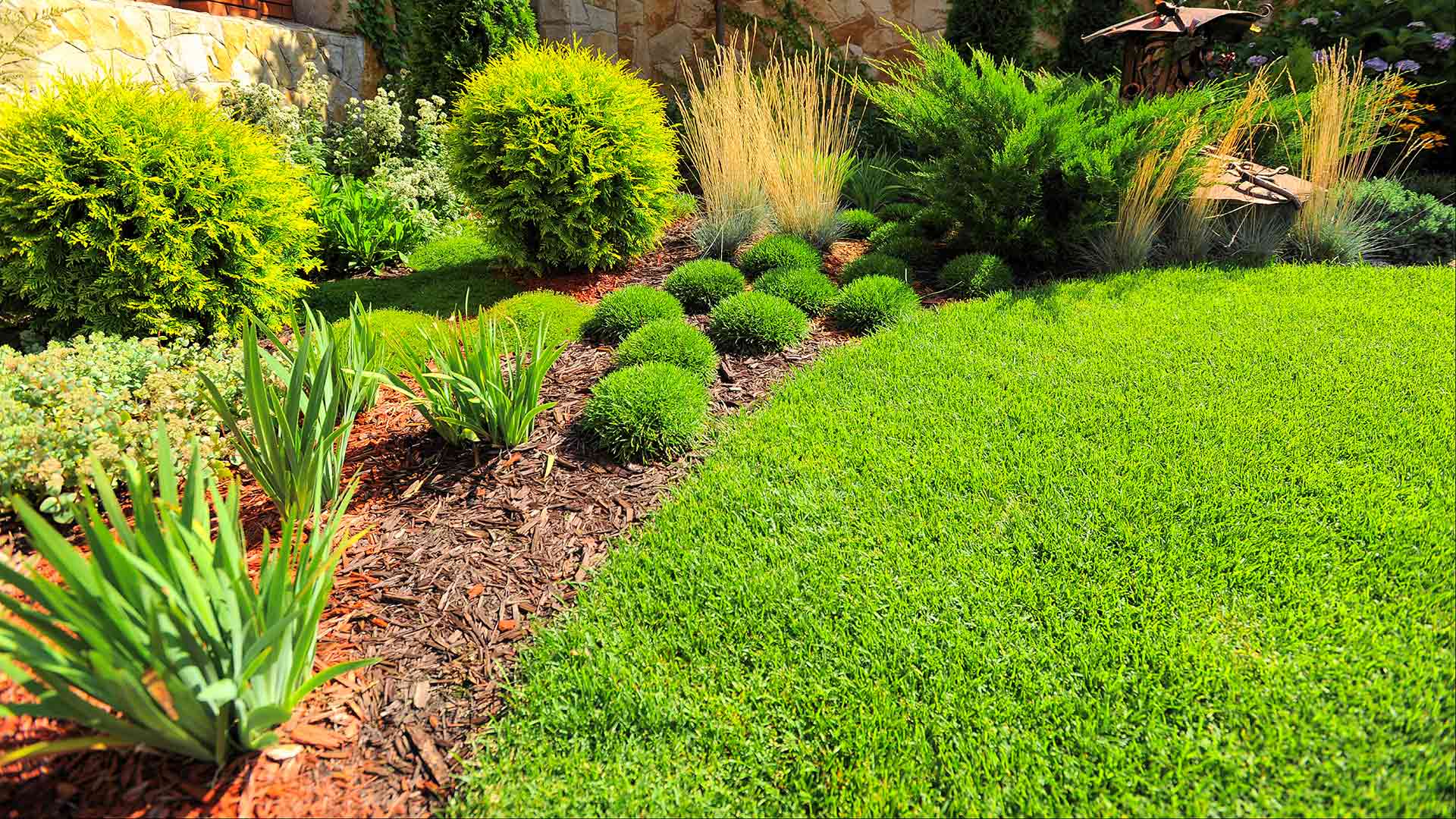 Carefully trimmed and pruned landscaping bed in Lakeland, FL.