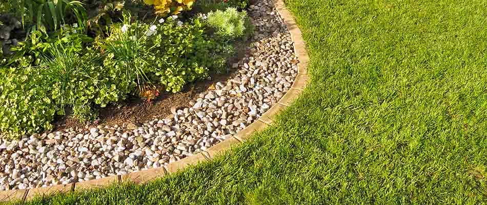 Plant City backyard landscape bed with rocks installed.