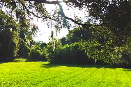 Contact Info For ProCare Lawn Maintenance, (813) 363-5790