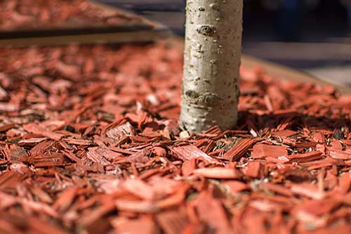 Red mulch installed for a homeowner in Plant City.