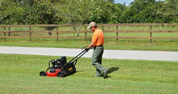 About ProCare Lawn Maintenance